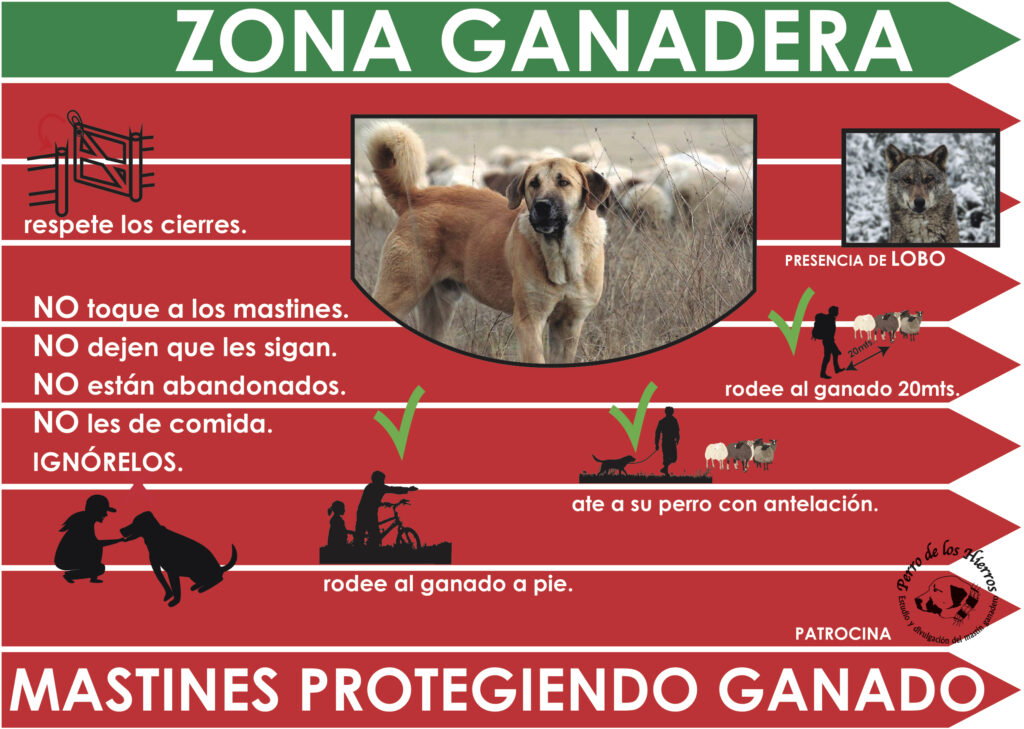 cartel Zamora.
